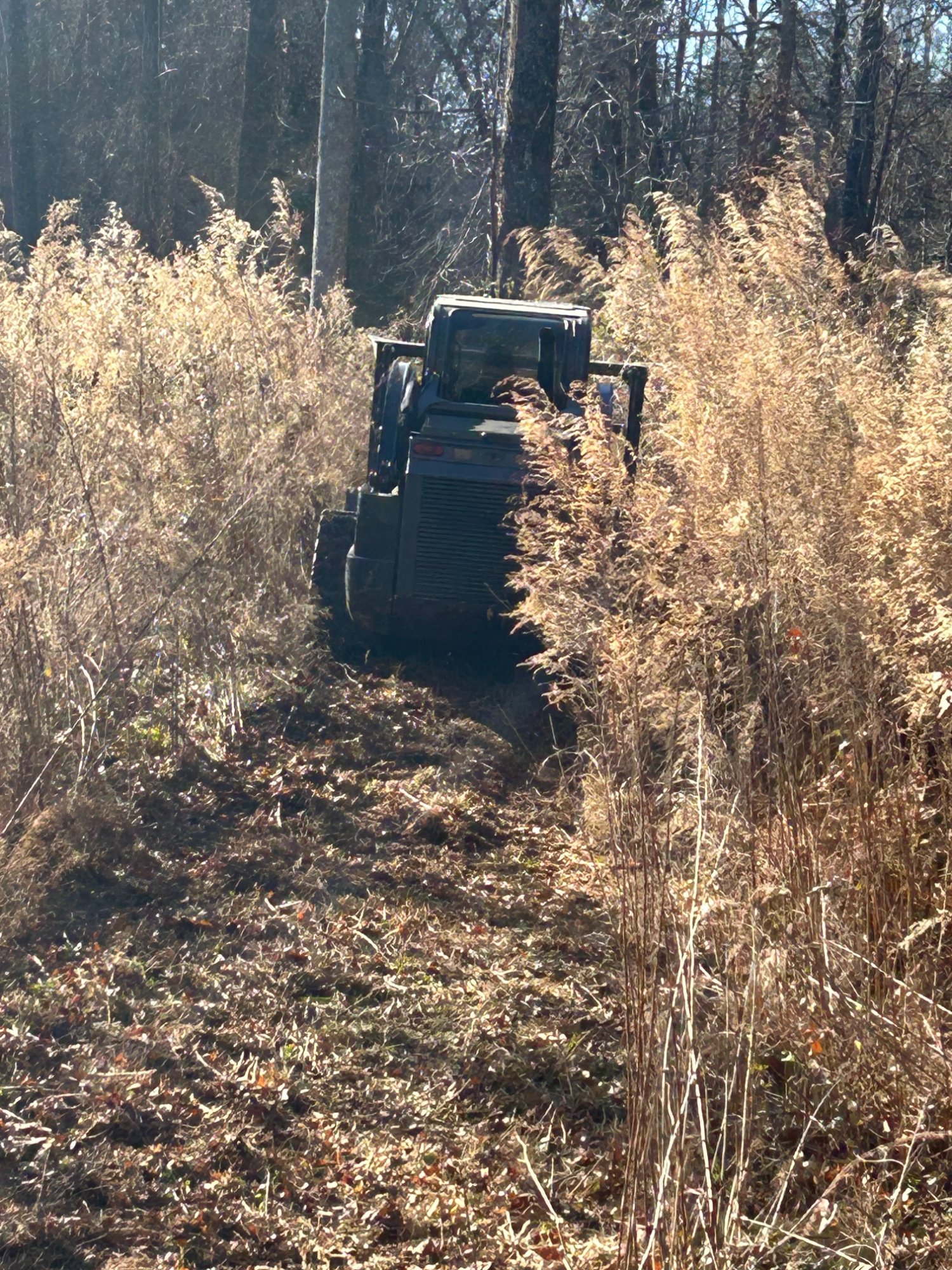 Brush clearing in progress