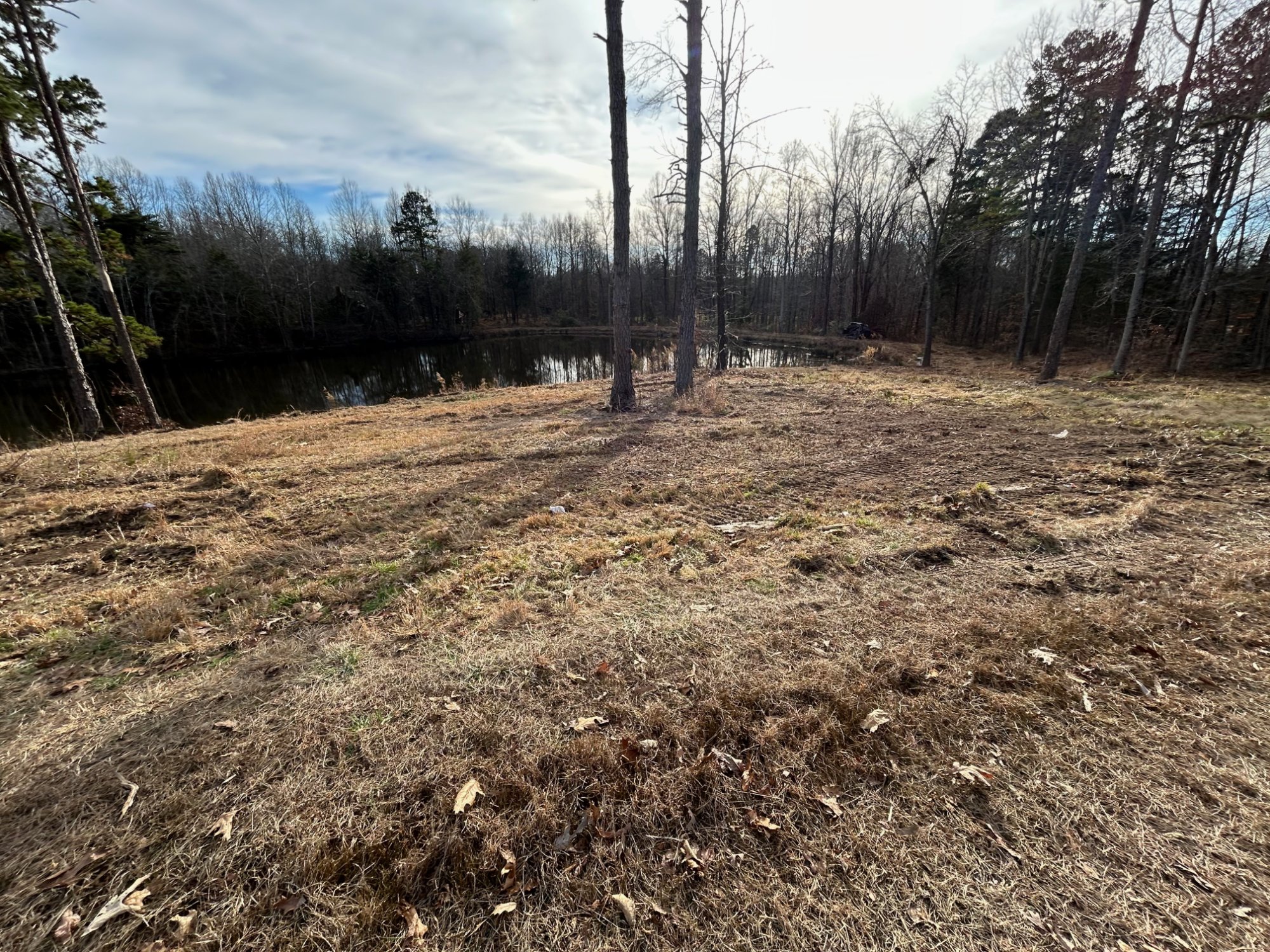 Pond bank after clearing