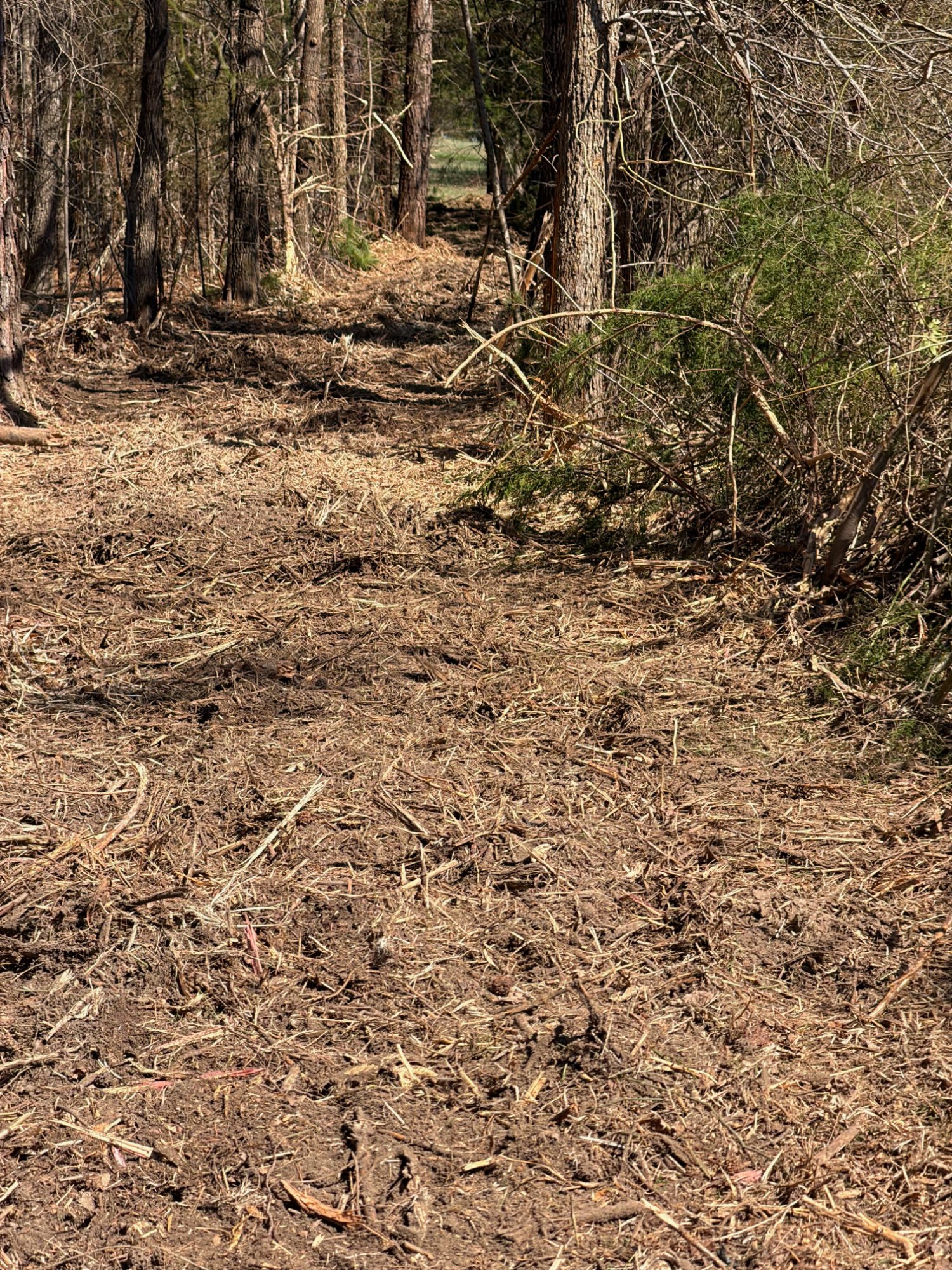 Forestry mulching result