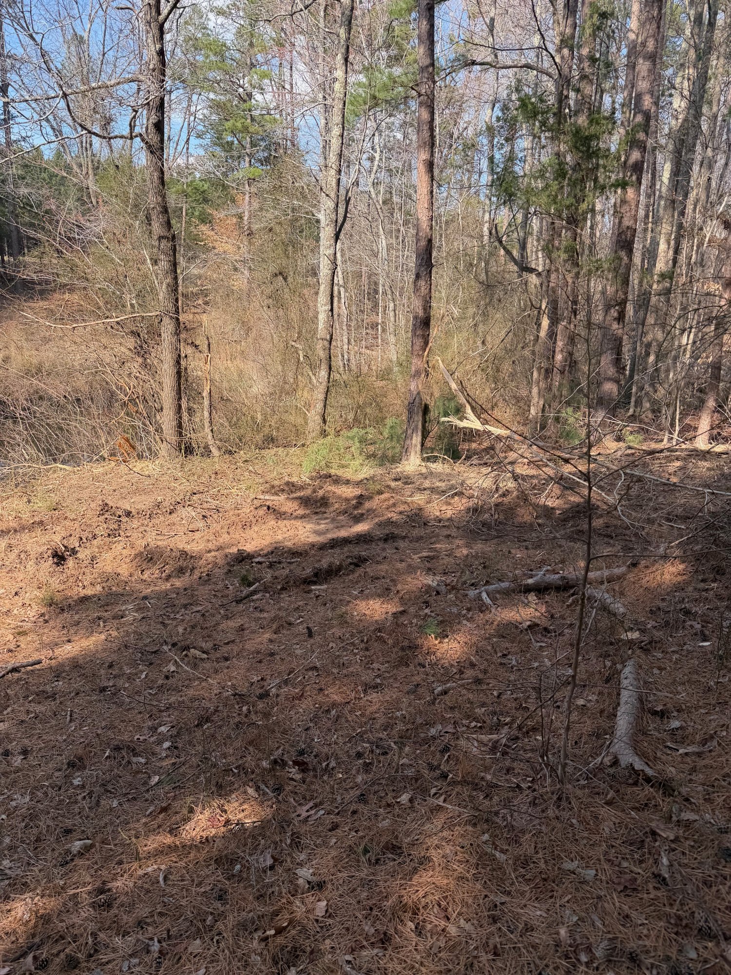 Land clearing completed